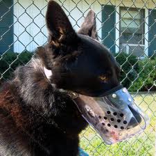 jafco dog muzzle